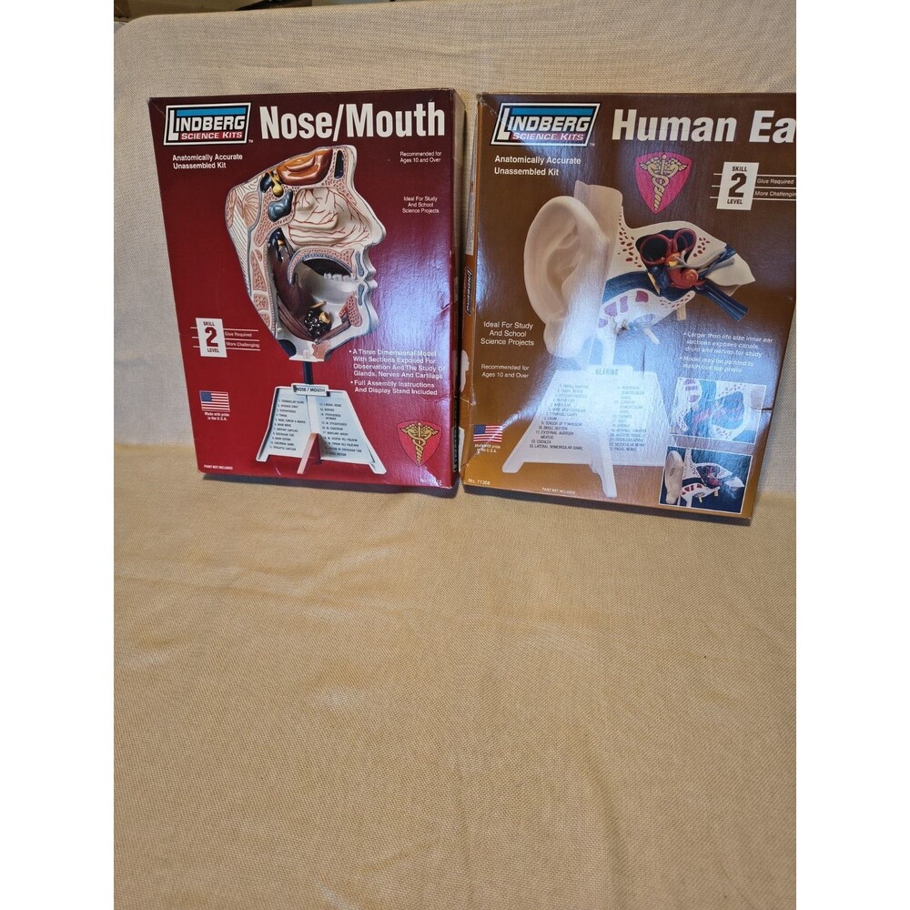Lindberg nose/mouth and human ear model kits